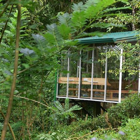 Sinharaja Kurulu Ella Eco Resort Deniyaya Eksteriør bilde