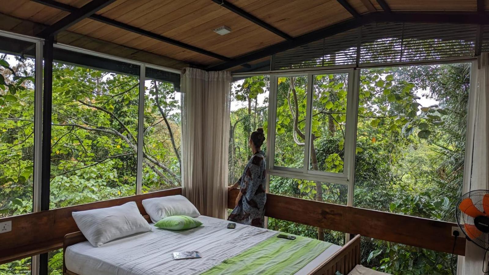 Sinharaja Kurulu Ella Eco Resort Deniyaya Eksteriør bilde